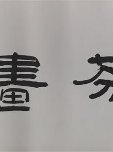 Y-16